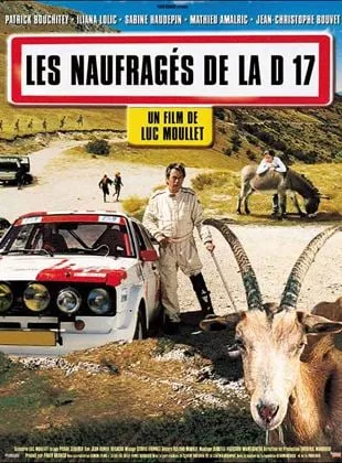Affiche du film Les naufragés de la D17