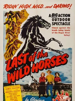 Affiche du film Last of the Wild Horses