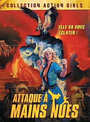 Affiche du film Attaque à mains nues