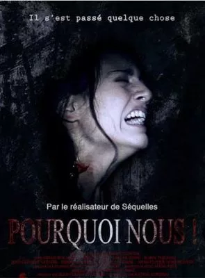 Affiche du film Pourquoi nous !