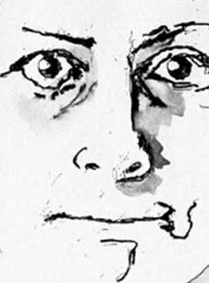 Affiche du film Through the Hawthorn - Court Métrage