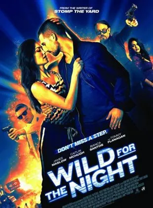 Affiche du film Wild for the Night