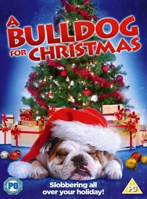 Affiche du film L'Incroyable Noël