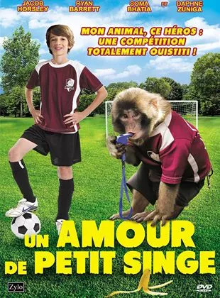 Affiche du film Un amour de petit singe
