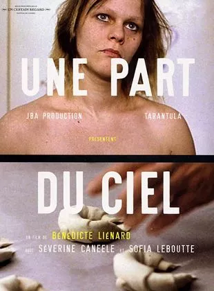 Affiche du film Une part du ciel