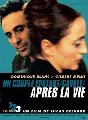 Affiche du film Après la vie