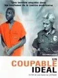 Affiche du film Un Coupable idéal