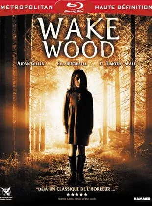 Affiche du film Wake Wood