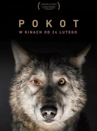 Affiche du film Tableau de chasse