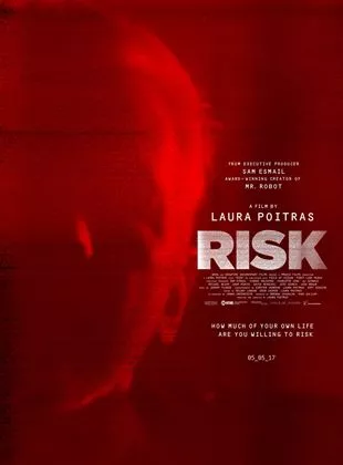 Affiche du film Risk