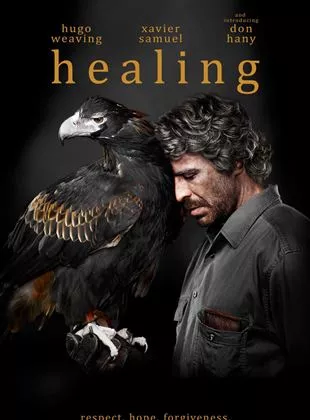 Affiche du film Healing