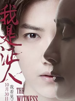Affiche du film The Witness