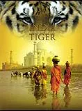 Affiche du film L'Inde, royaume du tigre - Court Métrage