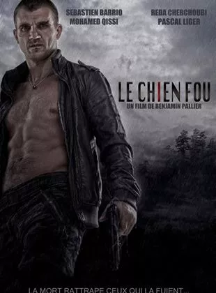 Affiche du film Le chien fou - Court Métrage
