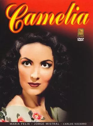 Affiche du film Camelia