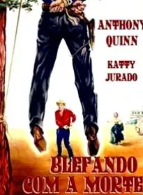 Affiche du film Le Tueur et la belle