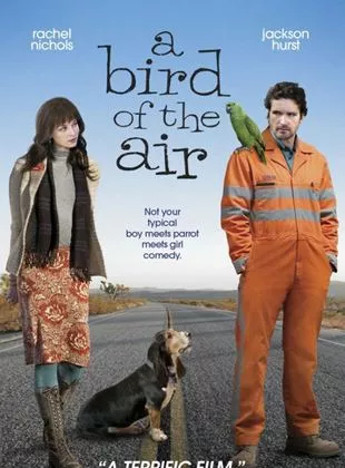 Affiche du film A Bird of the Air