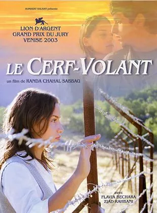 Affiche du film Le Cerf-volant