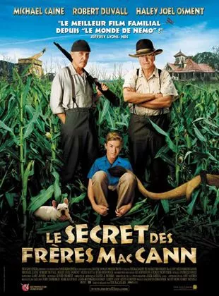 Affiche du film Le Secret des frères McCann