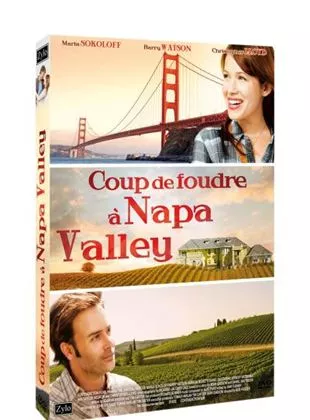 Affiche du film Coup de foudre à Napa Valley