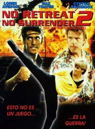 Affiche du film Karaté Tiger 2