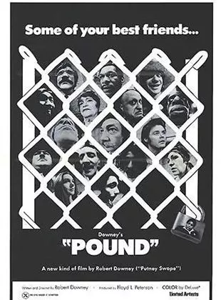 Affiche du film Pound