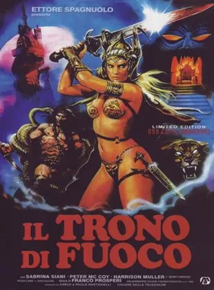 Affiche du film Le retour du barbare