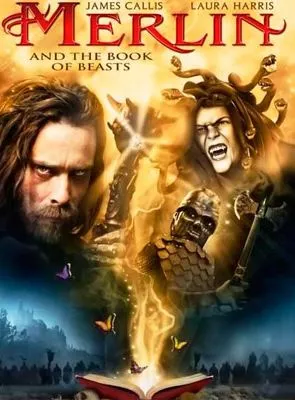 Affiche du film Merlin et le livre des sorts