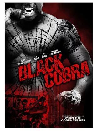 Affiche du film When the Cobra Strikes