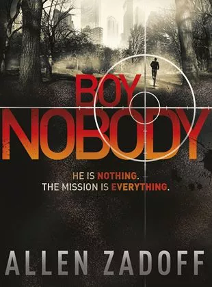 Affiche du film Boy Nobody