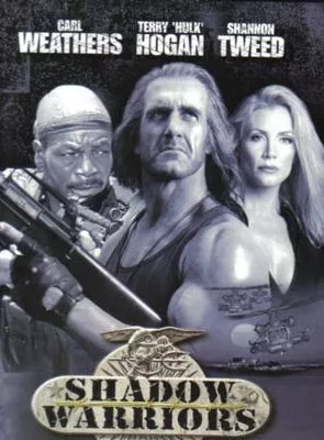 Affiche du film Les Guerriers de l'ombre