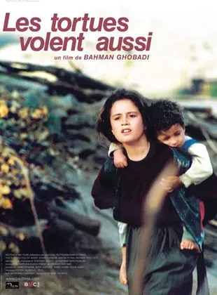 Affiche du film Les Tortues volent aussi