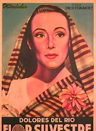 Affiche du film L'ouragan