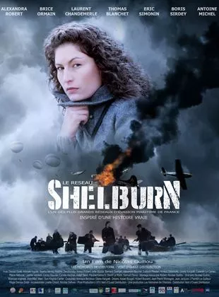 Affiche du film Le Réseau Shelburn