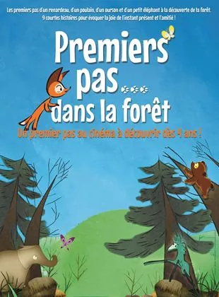 Affiche du film Premiers pas dans la fôret