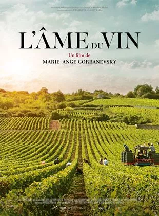 Affiche du film L'Âme du vin