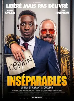 Affiche du film Inséparables