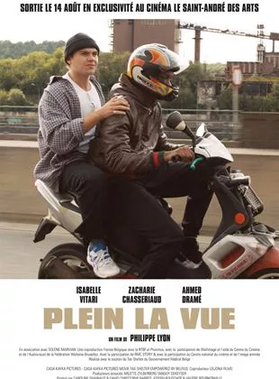 Affiche du film Plein la vue