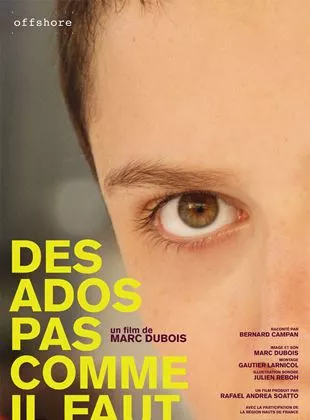 Affiche du film Des ados pas comme il faut