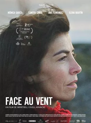 Affiche du film Face au vent