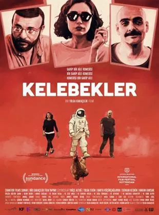 Affiche du film Papillons