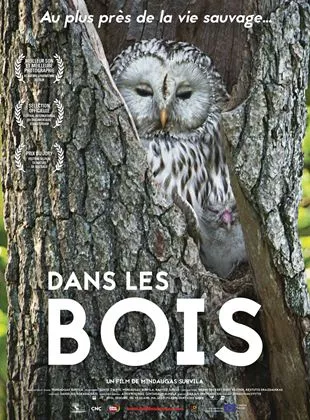 Affiche du film Dans les bois