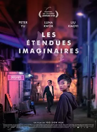 Affiche du film Les Etendues imaginaires