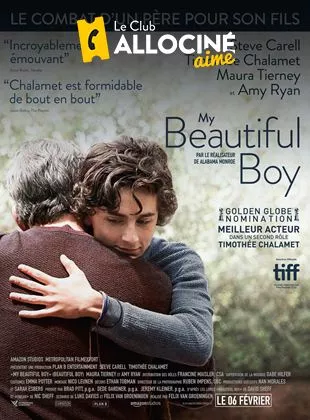 Affiche du film My beautiful boy