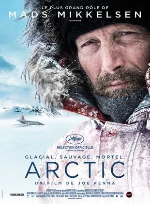 Affiche du film Arctic