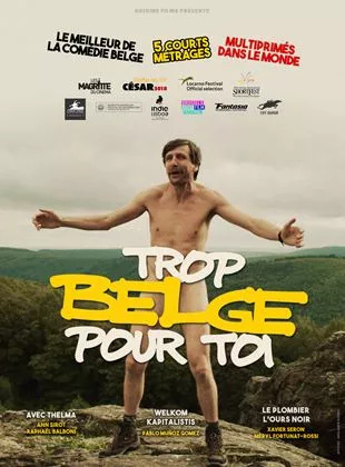 Affiche du film Trop Belge pour toi