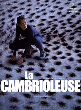 Affiche du film La Cambrioleuse