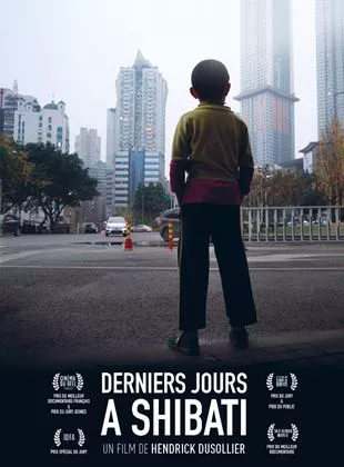 Affiche du film Derniers jours à Shibati