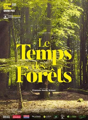 Affiche du film Le Temps des forêts