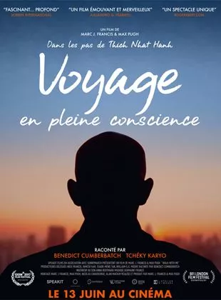 Affiche du film Voyage en pleine conscience